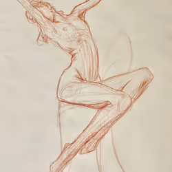 56