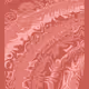 273