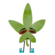 2068