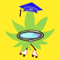 WeedPunks #67