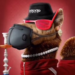 Based Camels#746