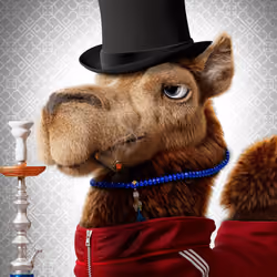 Based Camels#773