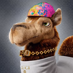 Based Camels#85