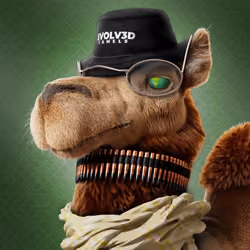 Based Camels#494