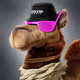 800