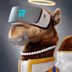 670