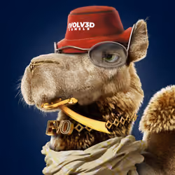 Based Camels#330