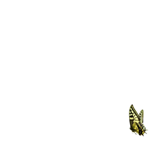 Rodeo Posts 9