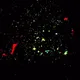 Galaxy run