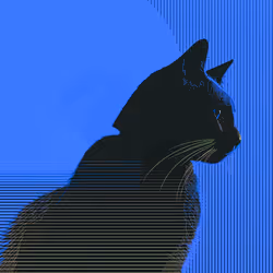 3628