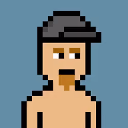 V0 Punks #1564