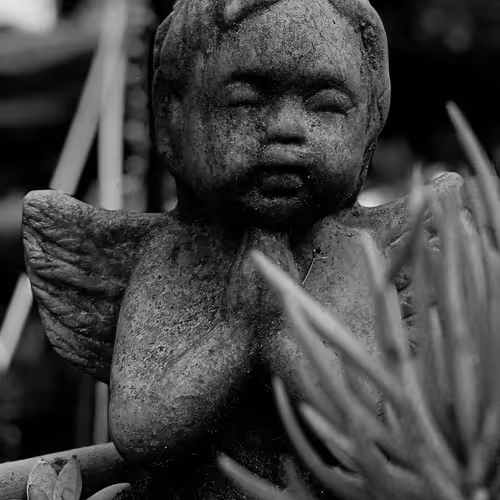 Grey Child