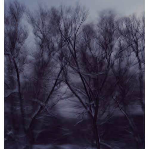 017.