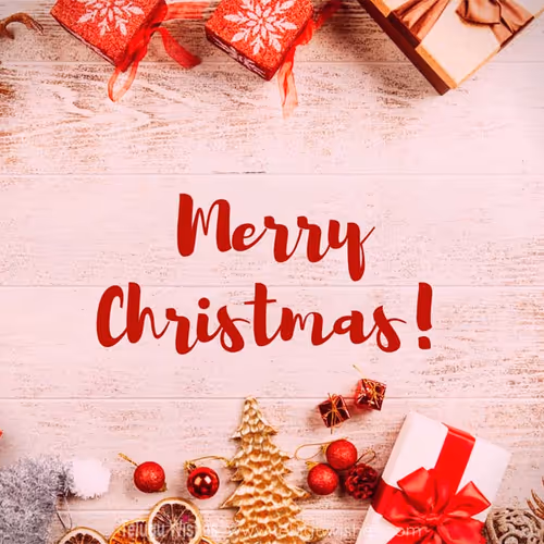 Merry Christmas