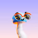 Molga Shadefung