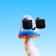 Crup Shadefung