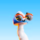 Whoril Shadefung