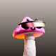 Yorrak Wretchcap