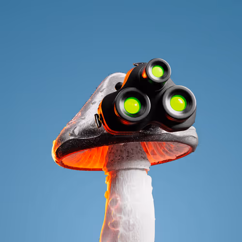Spor Mushroom