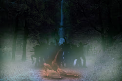 Dance in Forest