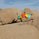 338