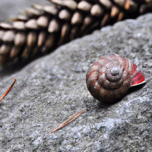 hiddenTreasure