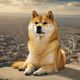 Proud dog
