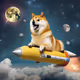 Doge to the moon