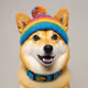 dogwifrnbw