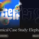 Technical Case Study: Elephants