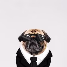 Boss