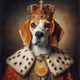 dog btc