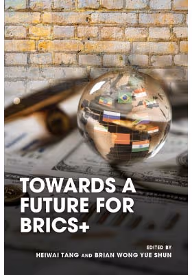 Towards a Future for BRICS+ 金磚國家的未來觀