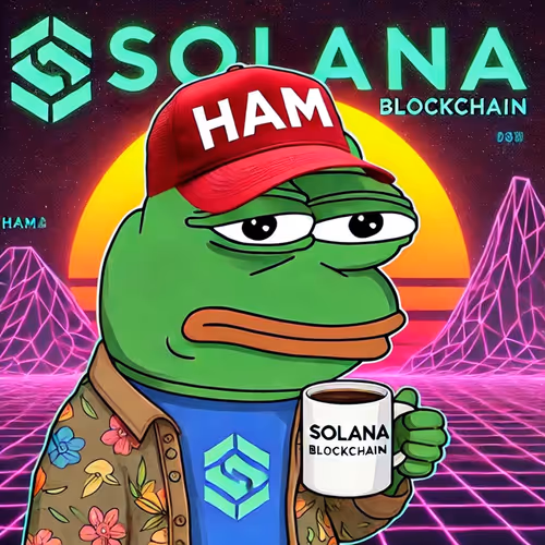 Celebrate 🍖 on Solana