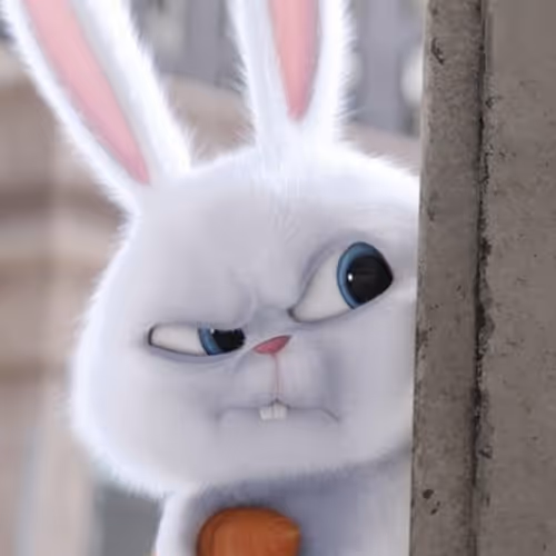 Rabbit