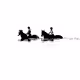 Horse Aqua Aerobics