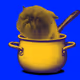 Mr. Miggles in the pot