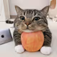 Caty