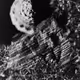 Experimental Analog Photography