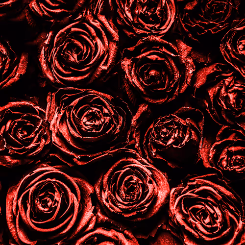 Happy Valentine's Day!