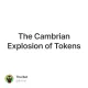 The Cambrian Explosion of Tokens