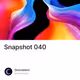 Snapshot 040