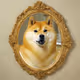 basedoge