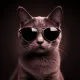 BASEDCAT