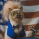 President Miggles Onchain