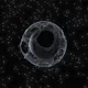 Moonshell
