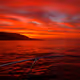 RED DAWN