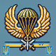 Airborn Armed Forces of Ukraine