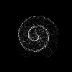 Base VOID