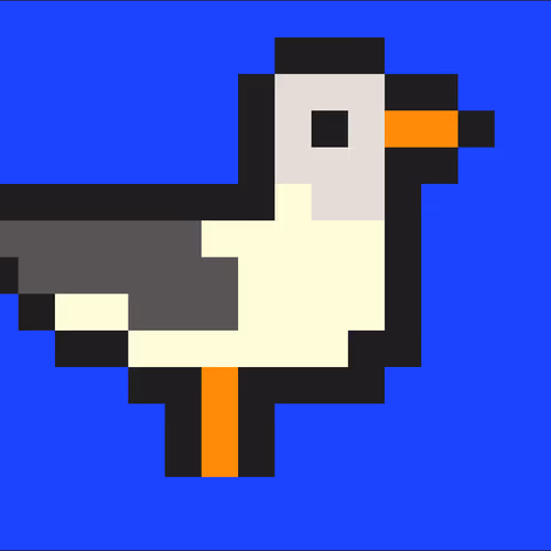 Seagull